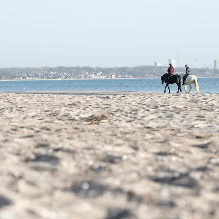 Appartement Wohnpark Am Muehlenteich - 27a